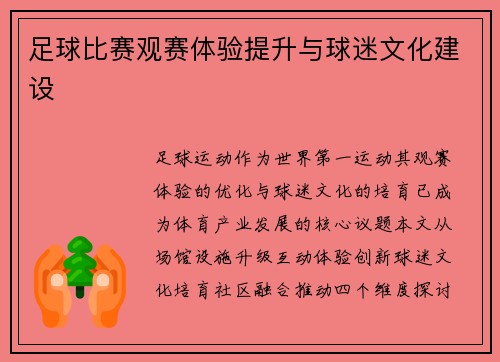足球比赛观赛体验提升与球迷文化建设
