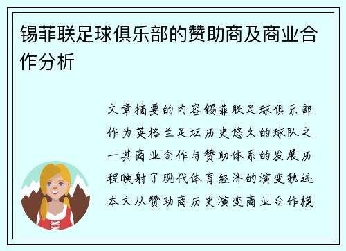锡菲联足球俱乐部的赞助商及商业合作分析